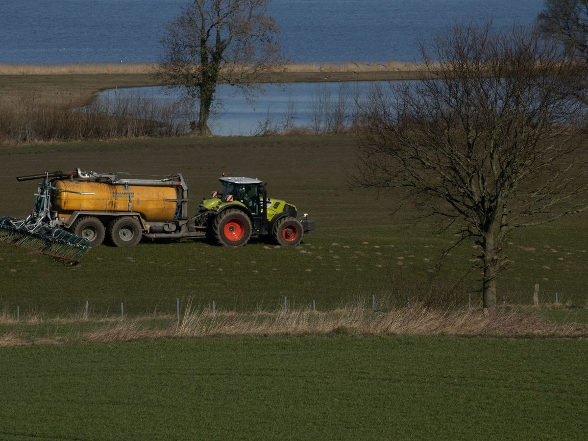 Traktor mit Güllefass und Schleppschlauch-Gestänge auf Grünland
