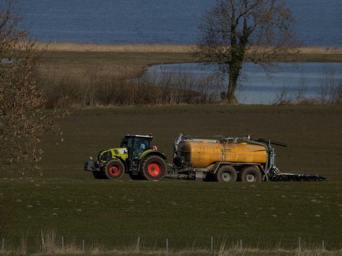 Traktor mit Güllefass und Schleppschlauch bei der Ausbringung auf Grünland